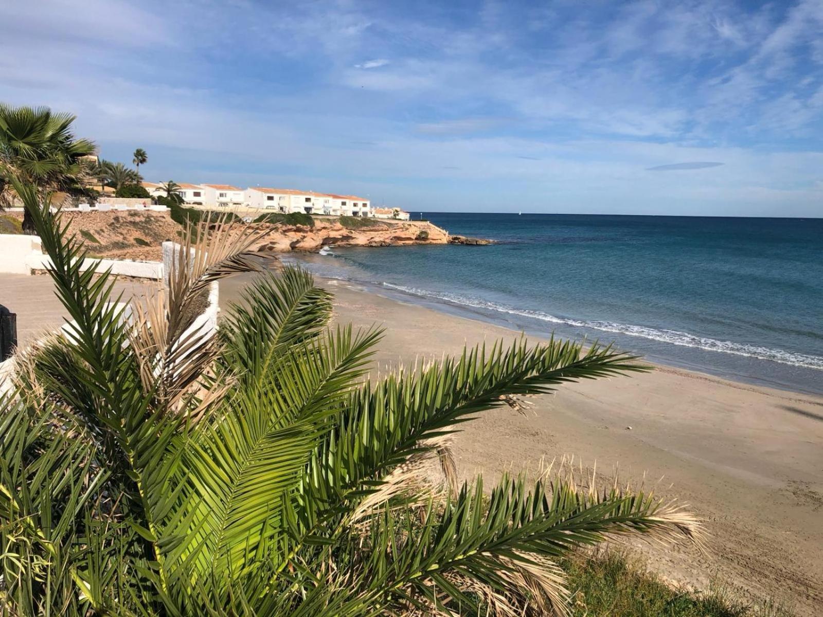 Palmview Poolside Heaven In Turquesa Del Mar Appartement *