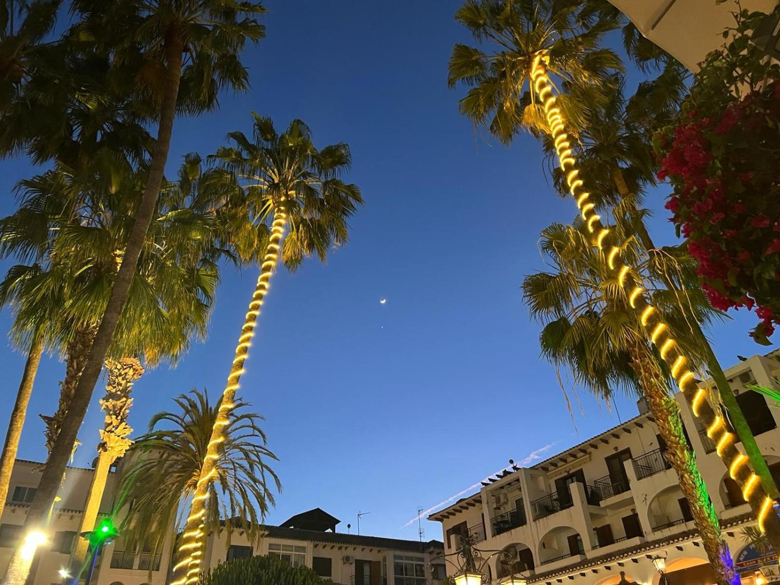 Palmview Poolside Heaven In Turquesa Del Mar Appartement Orihuela